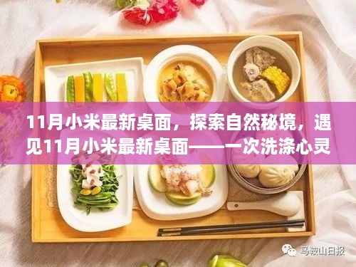 探索自然秘境，小米最新桌面带你领略心灵洗涤之旅