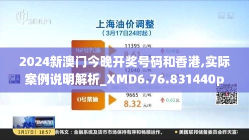 2024新澳门今晚开奖号码和香港,实际案例说明解析_XMD6.76.831440p