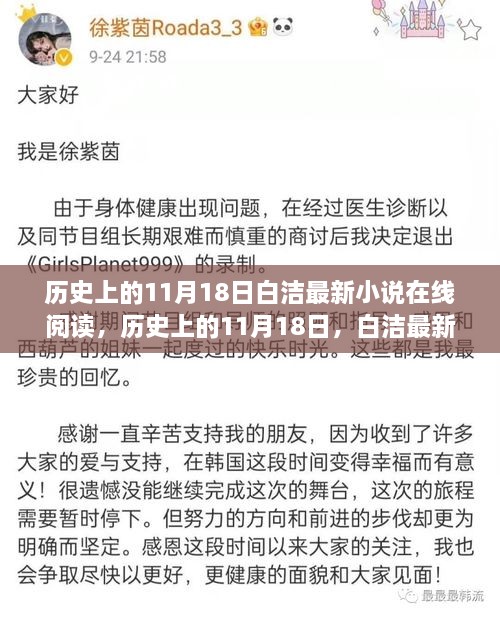 历史上的11月18日白洁最新小说在线阅读，历史上的11月18日，白洁最新小说在线阅读全面评测与介绍