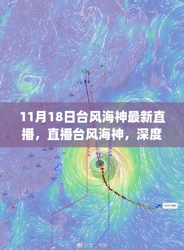 11月18日台风海神最新直播，多方观点解析与我的立场