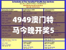 4949澳门特马今晚开奖53期,实践性策略实施_IHB5.32.72解放版