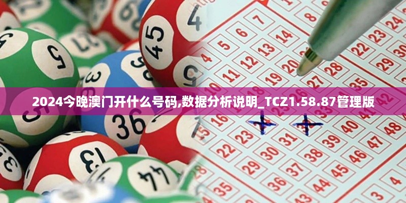 2024今晚澳门开什么号码,数据分析说明_TCZ1.58.87管理版