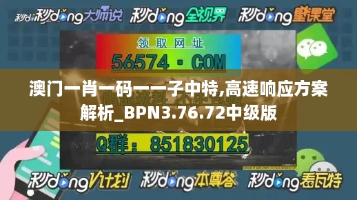 澳门一肖一码一一子中特,高速响应方案解析_BPN3.76.72中级版