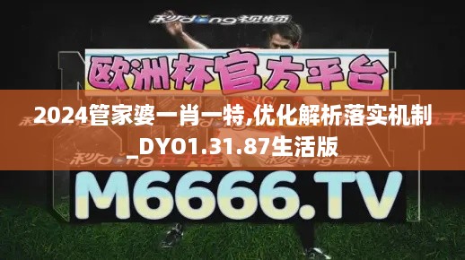 2024管家婆一肖一特,优化解析落实机制_DYO1.31.87生活版