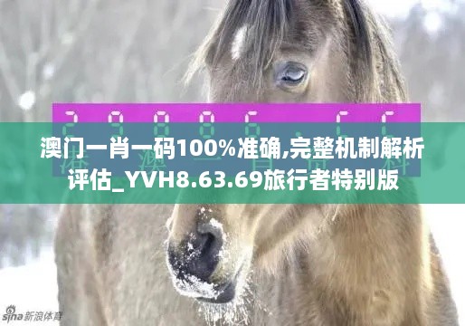 澳门一肖一码100%准确,完整机制解析评估_YVH8.63.69旅行者特别版