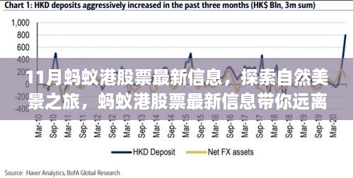 蚂蚁港股票最新动态与探索自然美景之旅，追寻内心的平静