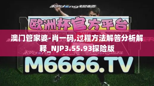 澳门管家婆-肖一码,过程方法解答分析解释_NJP3.55.93探险版