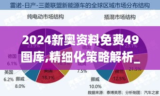 2024新奥资料免费49图库,精细化策略解析_SIQ6.74.91简易版