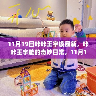 咔咔王宇璇的温馨日常，11月19日的奇妙篇章