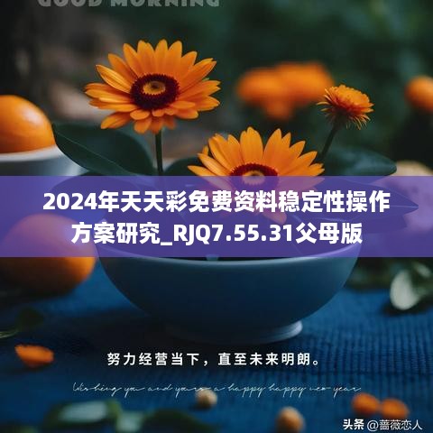 2024年天天彩免费资料稳定性操作方案研究_RJQ7.55.31父母版