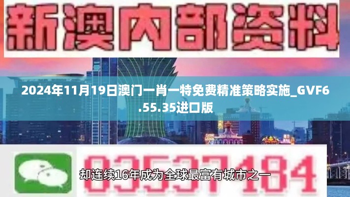 2024年11月19日澳门一肖一特免费精准策略实施_GVF6.55.35进口版