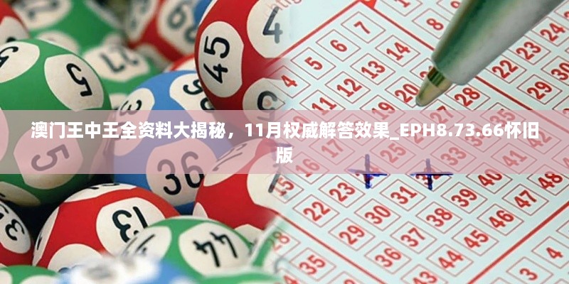 澳门王中王全资料大揭秘，11月权威解答效果_EPH8.73.66怀旧版