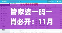 管家婆一码一肖必开：11月19日现场数据方案评估_YIH3.19.29配送版本