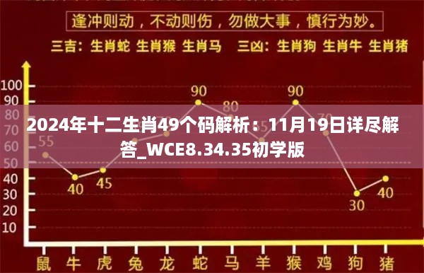 2024年十二生肖49个码解析：11月19日详尽解答_WCE8.34.35初学版