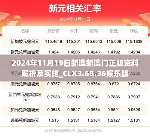 2024年11月19日新澳新澳门正版资料解析及实施_CLX3.68.36娱乐版