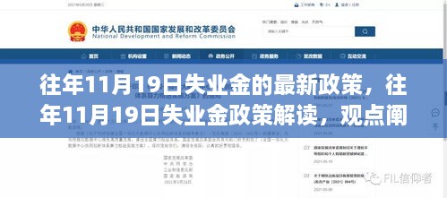 往年11月19日失业金政策解读与深度分析，最新政策、观点阐述