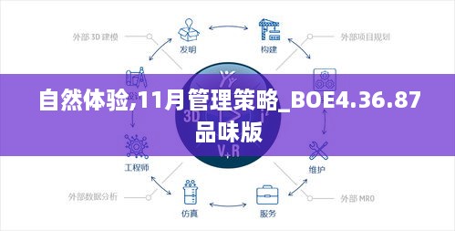 自然体验,11月管理策略_BOE4.36.87品味版