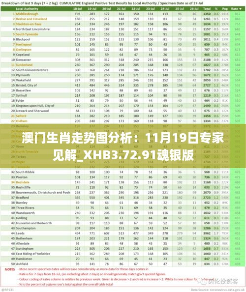 澳门生肖走势图分析：11月19日专家见解_XHB3.72.91魂银版