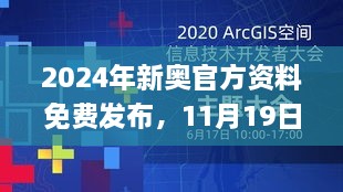 2024年新奥官方资料免费发布，11月19日详解解答与应用_ARU7.44.70 DIY工具版