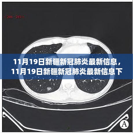 新疆新冠肺炎最新信息下的多元观点探析（11月19日更新）