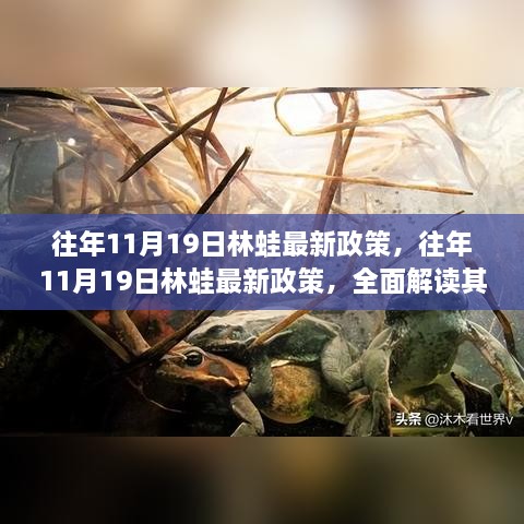 往年11月19日林蛙最新政策解读，特性、体验、竞争分析与目标用户群体全面剖析