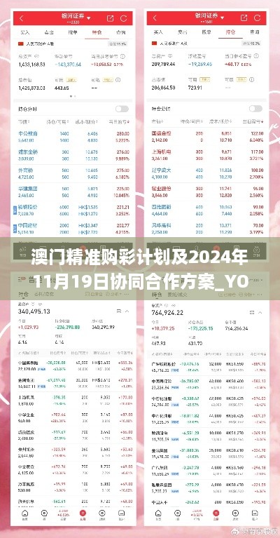 澳门精准购彩计划及2024年11月19日协同合作方案_YOQ8.37.42