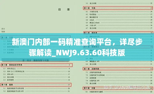 新澳门内部一码精准查询平台，详尽步骤解读_NWJ9.63.60科技版