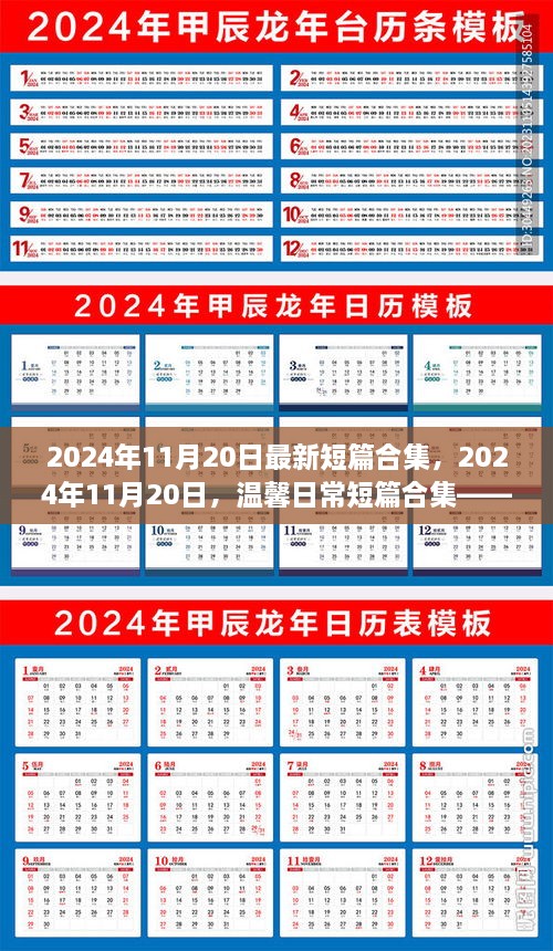 2024年温馨日常短篇合集，友谊纽带与家的温暖