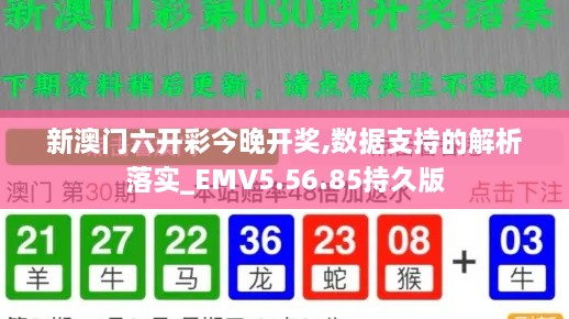 新澳门六开彩今晚开奖,数据支持的解析落实_EMV5.56.85持久版