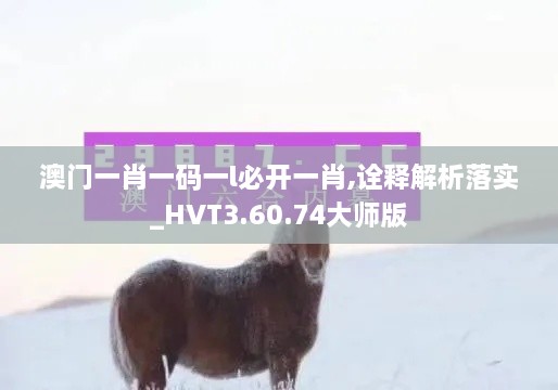 澳门一肖一码一l必开一肖,诠释解析落实_HVT3.60.74大师版