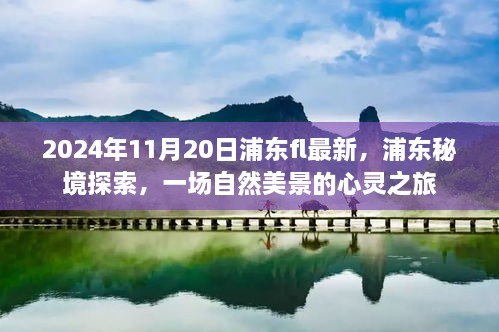 浦东秘境探索之旅，自然美景的心灵之旅（2024年11月20日最新）