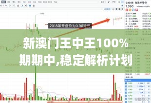 新澳门王中王100%期期中,稳定解析计划_CXT8.37.35电商版