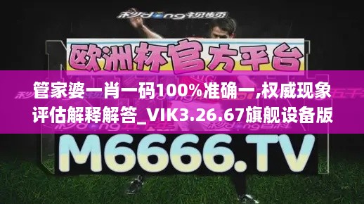 管家婆一肖一码100%准确一,权威现象评估解释解答_VIK3.26.67旗舰设备版