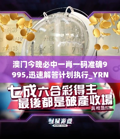 澳门今晚必中一肖一码准确9995,迅速解答计划执行_YRN8.57.25个人版