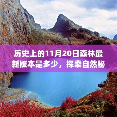 历史上的森林版本探索之旅，心灵与自然秘境的交汇点（最新森林版本揭秘）