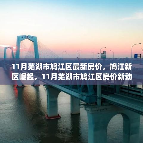 芜湖市鸠江区房价动态，新区的崛起与自信成就之旅的十一月回顾