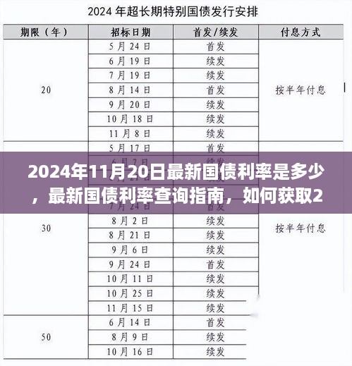 2024年11月20日国债利率查询指南，获取最新国债利率信息