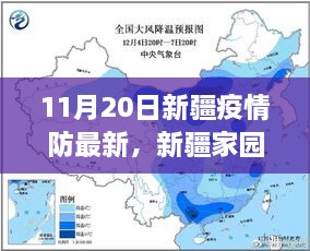 新疆家园的温暖防线，疫情下的日常趣事与深厚友情最新报道（11月20日）