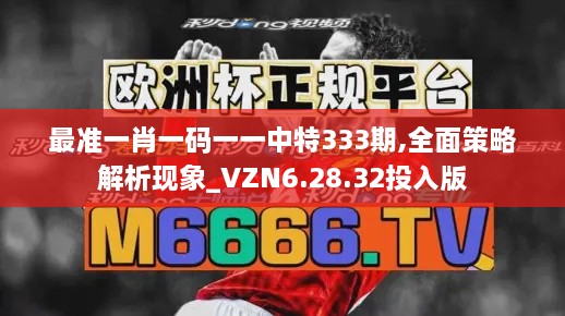 最准一肖一码一一中特333期,全面策略解析现象_VZN6.28.32投入版