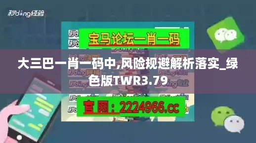 大三巴一肖一码中,风险规避解析落实_绿色版TWR3.79