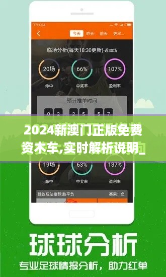 2024新澳门正版免费资木车,实时解析说明_采购版JFY6.19