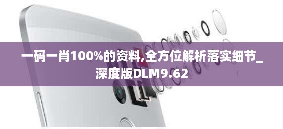 一码一肖100%的资料,全方位解析落实细节_深度版DLM9.62