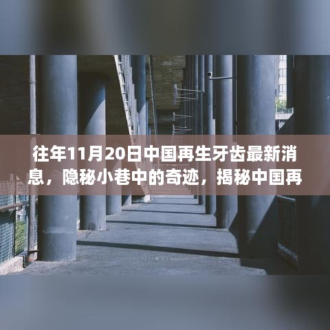 揭秘，中国再生牙齿技术的最新进展与一家特色小店的传奇故事（往年11月20日最新消息）