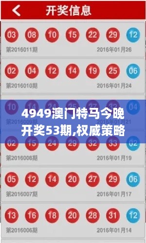 4949澳门特马今晚开奖53期,权威策略研究解答解释_先锋版VIZ6.62