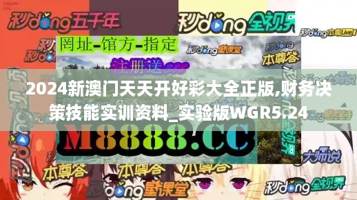 2024新澳门天天开好彩大全正版,财务决策技能实训资料_实验版WGR5.24