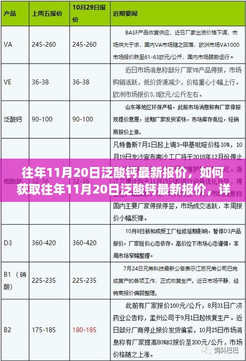 往年11月20日泛酸钙报价详解，获取最新报价的全方位指南