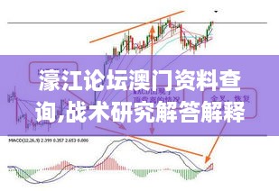 濠江论坛澳门资料查询,战术研究解答解释方案_高效版LAB1.32