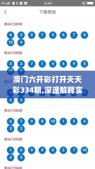 澳门六开彩打开天天彩334期,深邃解释实施解答_NRE5.48.52自助版