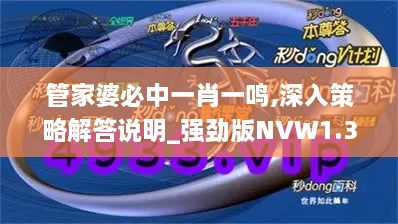 管家婆必中一肖一鸣,深入策略解答说明_强劲版NVW1.31