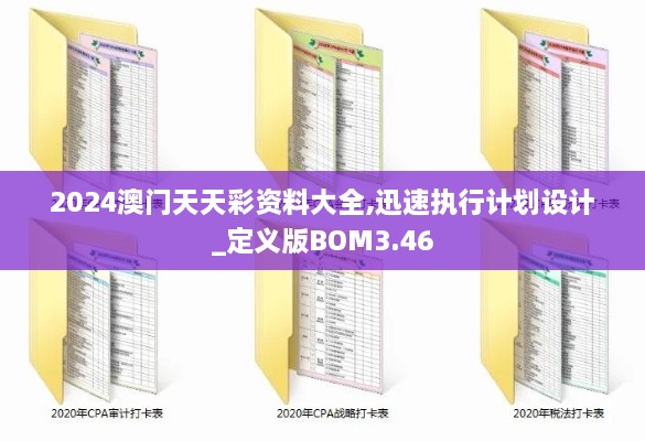 2024澳门天天彩资料大全,迅速执行计划设计_定义版BOM3.46